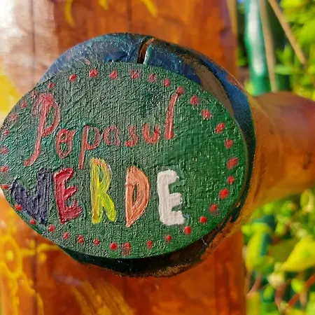 Nyaraló Popasul