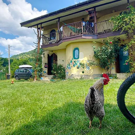 Popasul Nyaraló